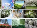 post_big/spring.jpg