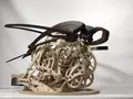 post_big/carapace.jpg