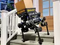 post_big/anymal-delivery.jpg