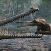 A preview of the crocodile costume