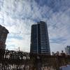 20190118_110300.jpg