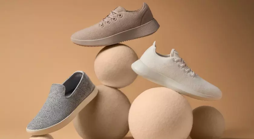 Allbirds: Новые Вершины В Мире Эко-Обуви