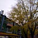 P71109-141408.jpg