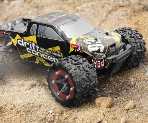 DEERC 300E Brushless RC Cars