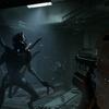Synthetic companion Davis 01