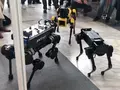 post_big/robots-powers.jpg