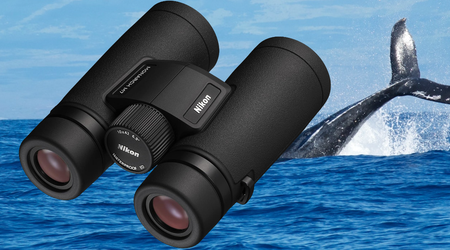 Best Binoculars for Whale Watching