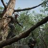 A remake that fans will love: journalists share their impressions of the Metal Gear Solid Δ: Snake Eater demo-6