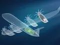 post_big2/airbus-x-mtu-fully-electric-hydrogen-aircraft-engine-ti-01.webp