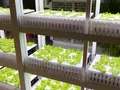 post_big/japanese-autonomous-farms.jpg