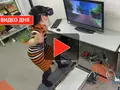 post_big/Riding-a-skateboard-in-virtual-reality1.jpg