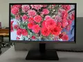 Обзор профессионального PLS-монитора Samsung SD850