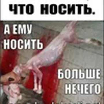 Анастасия Синяя