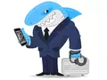 post_big/shark.jpg