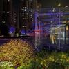 xiaomi-mi-8-super-night-scene-8_cr.jpg