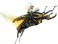 post_big/remote-control-giant-flower-beetles-3.jpg