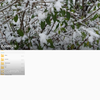 Screenshot_2017-12-07-09-43-39.png