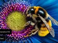 Adobe добавила умного AI-помощника в Photoshop и новые функции в Premiere и Lightroom