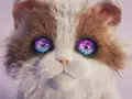 post_big/catiy.jpg