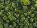 post_big/Samsung-ESG-Sustainability-Repor.jpg