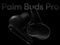 post_big/Palm-Buds-Pro.jpg