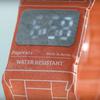 The PAPR WATCH.JPG