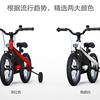 segway-kids-bike-7.jpg