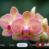 Для тех, кто знает чего хочет: обзор QLED-телевизора Xiaomi TV S Pro Mini LED 2026-100