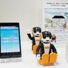 sharp-robohon-2019-model-7.jpg