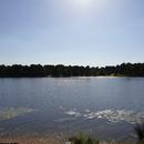 20180811_163827.jpg