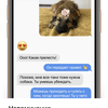 Обзор iPhone 11 Pro: 11 друзей профессионала-47