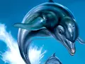 post_big/ecco.jpg