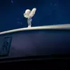 Rolls-Royce Cullinan Cosmos lighting