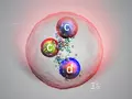 post_big2/lhcb-collaboration-discovers-new-proton-like-particle.webp