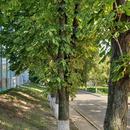20180825_154658.jpg
