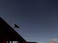 post_big/Starlink_Nightsky-cropped.jpg