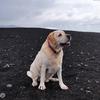 Poco-F1-Photo-samples-6.jpg