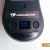 cougar-surpassion-19.jpg