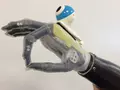 post_big/Seeing-hand-standard-right-aligned.jpg