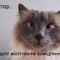 kozhynruslan@mail.ru