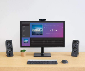 Logitech Z207