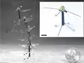 post_big/robo-fly.jpg