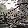 IMG_20190206_091406.jpg