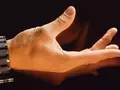 post_big/kaa-f.webp