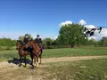 post_big/uav-ua-police.jpg