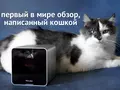 post_big/petcube-00_1.jpg