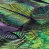 Прев'ю інтер'єру Phantom Hummingbird