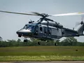post_big/MH-139A_Gray_Wolf_.jpeg