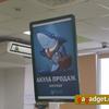 Volia_callcenter_10_02.jpg
