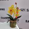 Флагманская линейка Samsung Galaxy S21 и наушники Galaxy Buds Pro своими глазами-64
